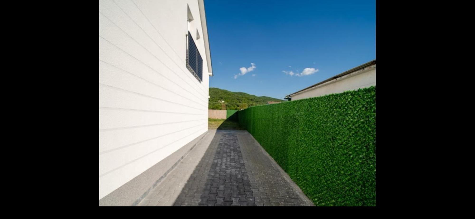 Vila Tom & Jerry Raška Exterior foto